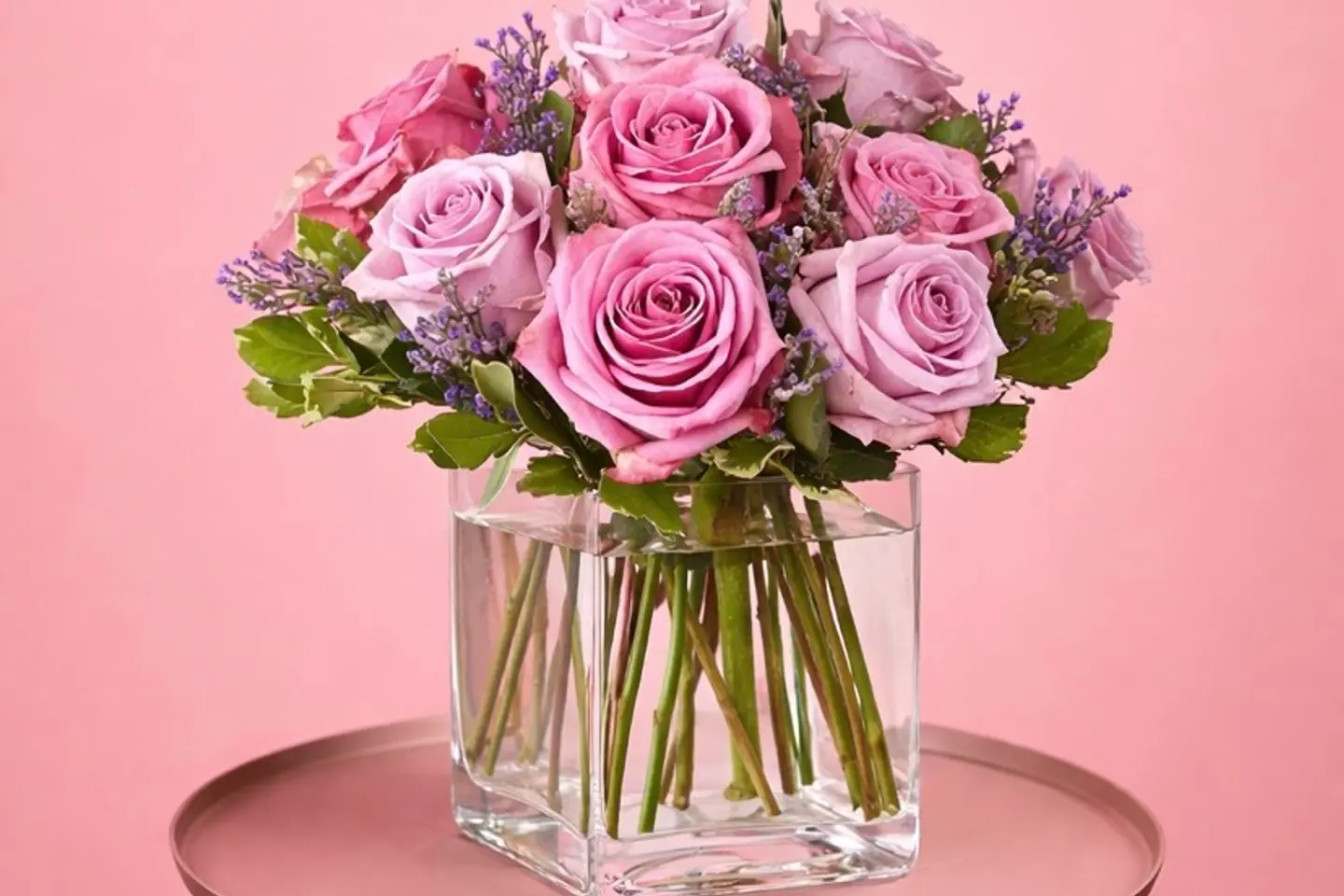 فازة نعومة الموف