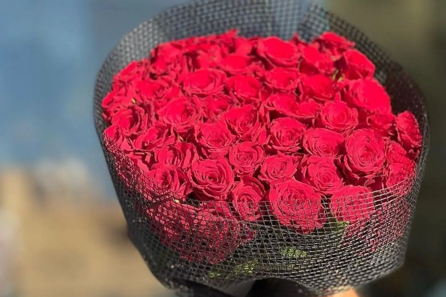 باقة الفن