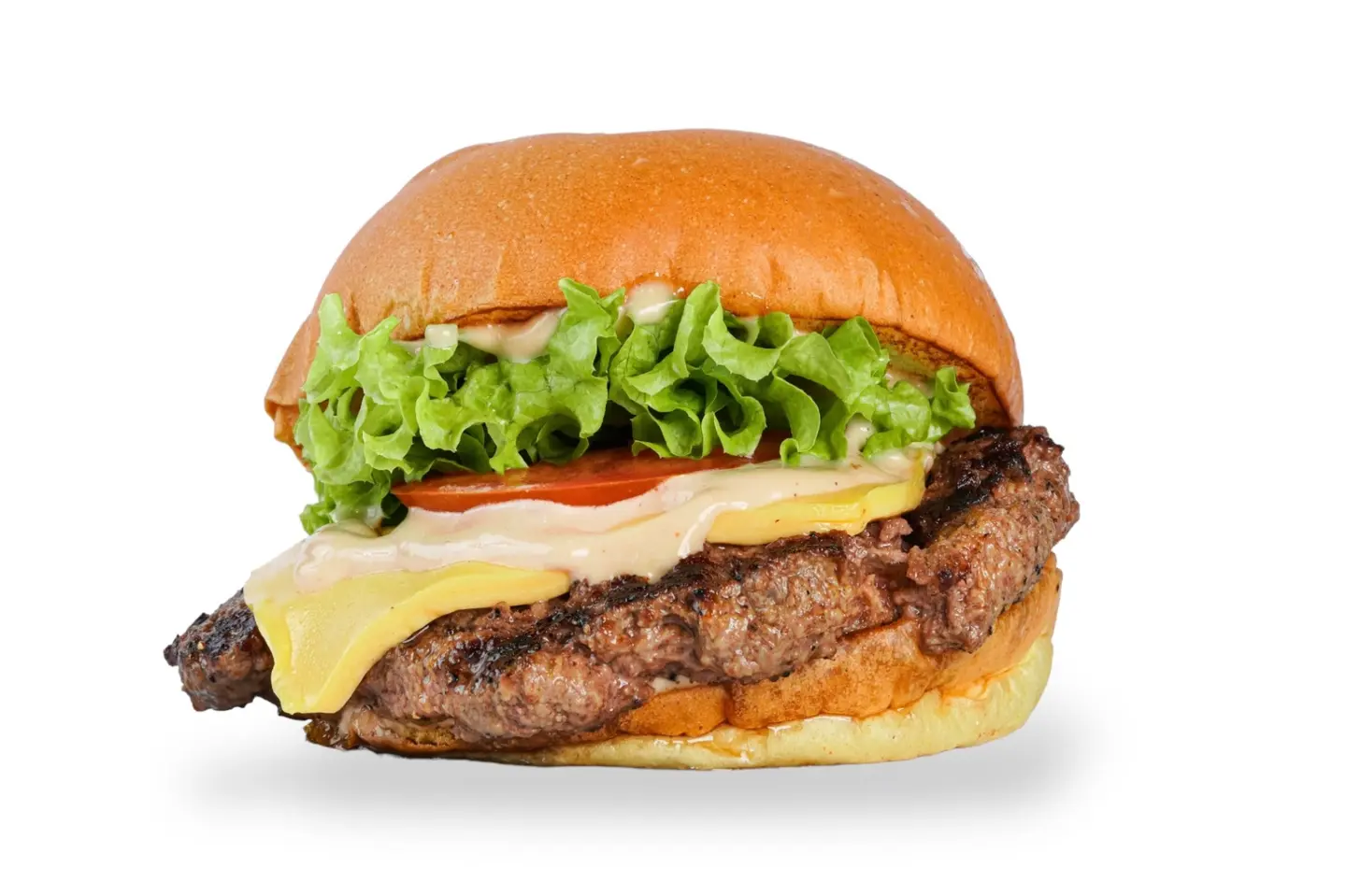 Classic Burger Sandwich