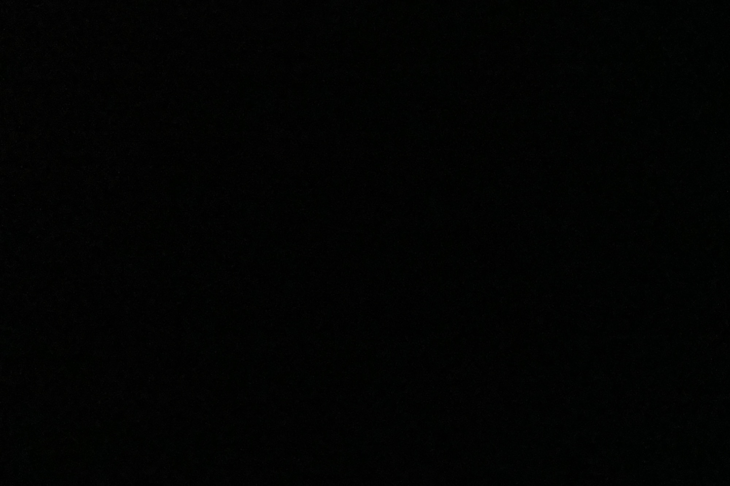 Charcoal Bride1250 1300 Gram