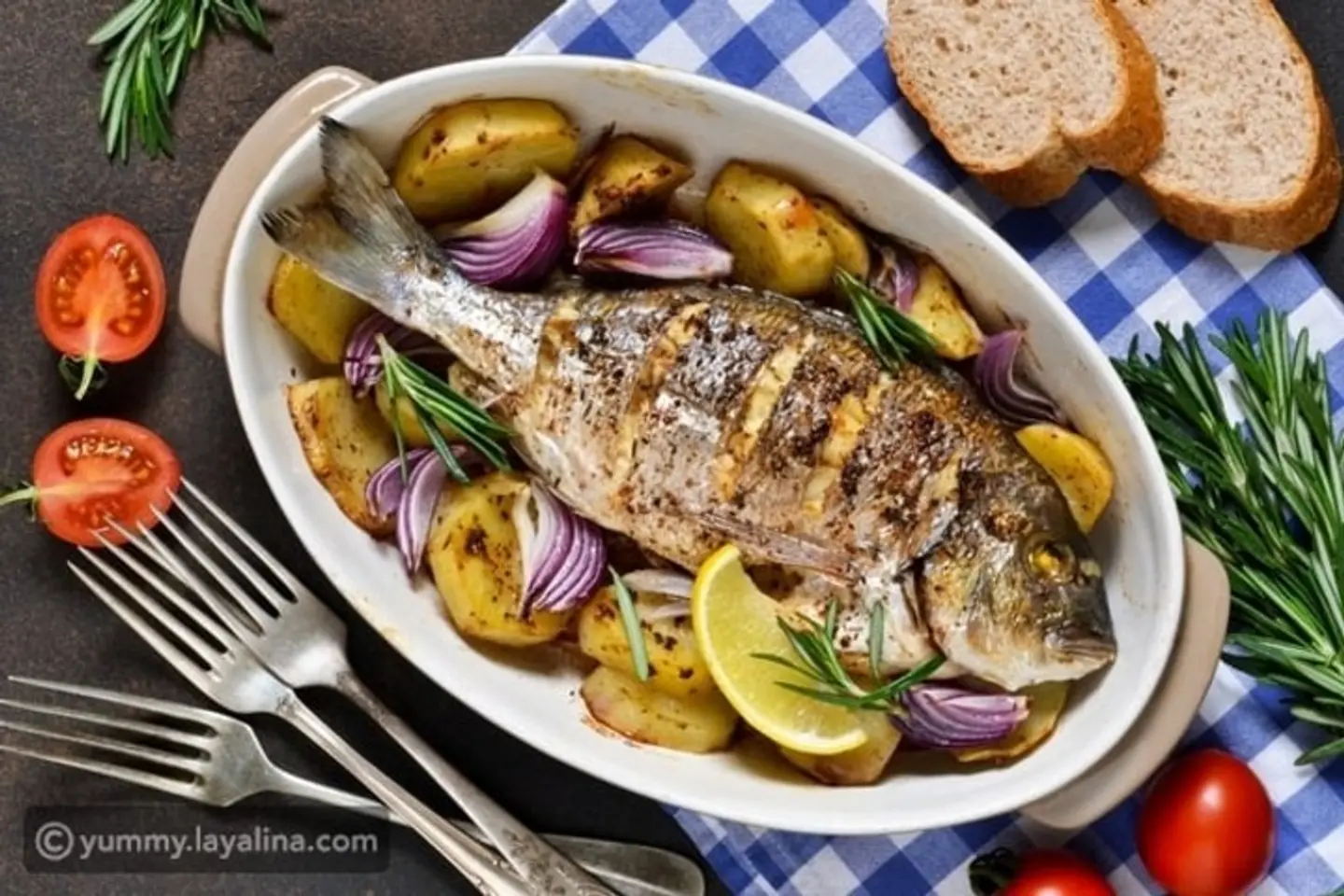 Grouper Fish Grilled