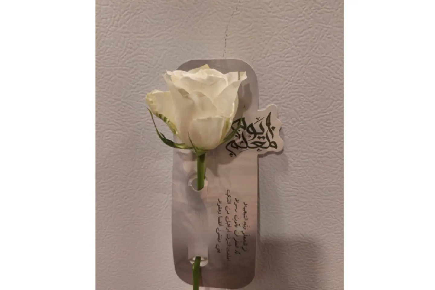 Rose Branch