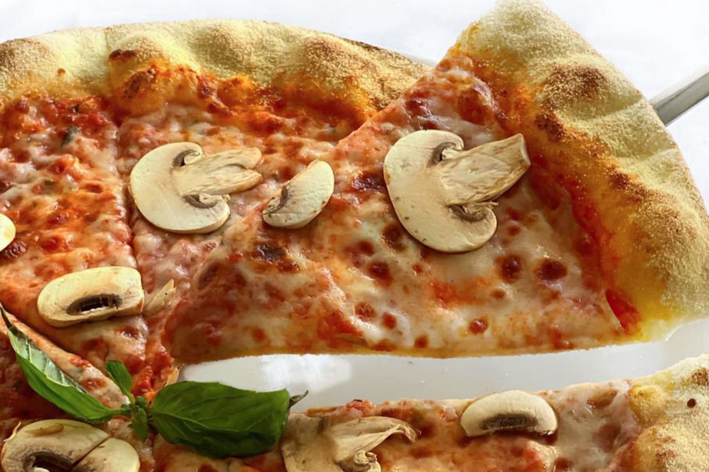 Pizza Funghi