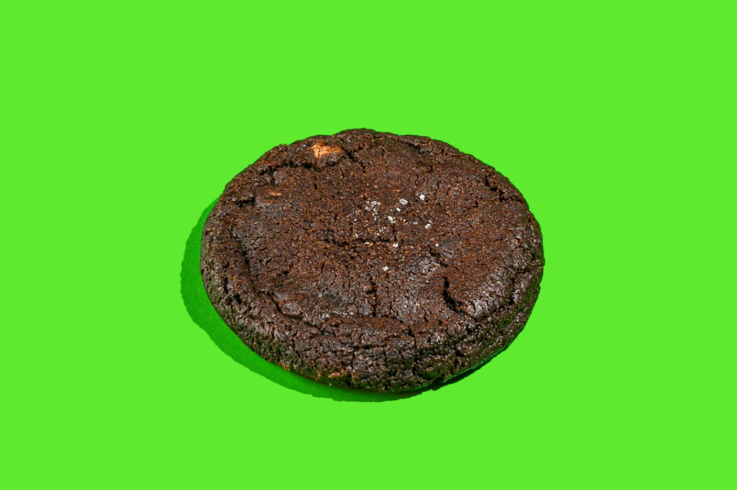 Chocolate Dolce Cookie