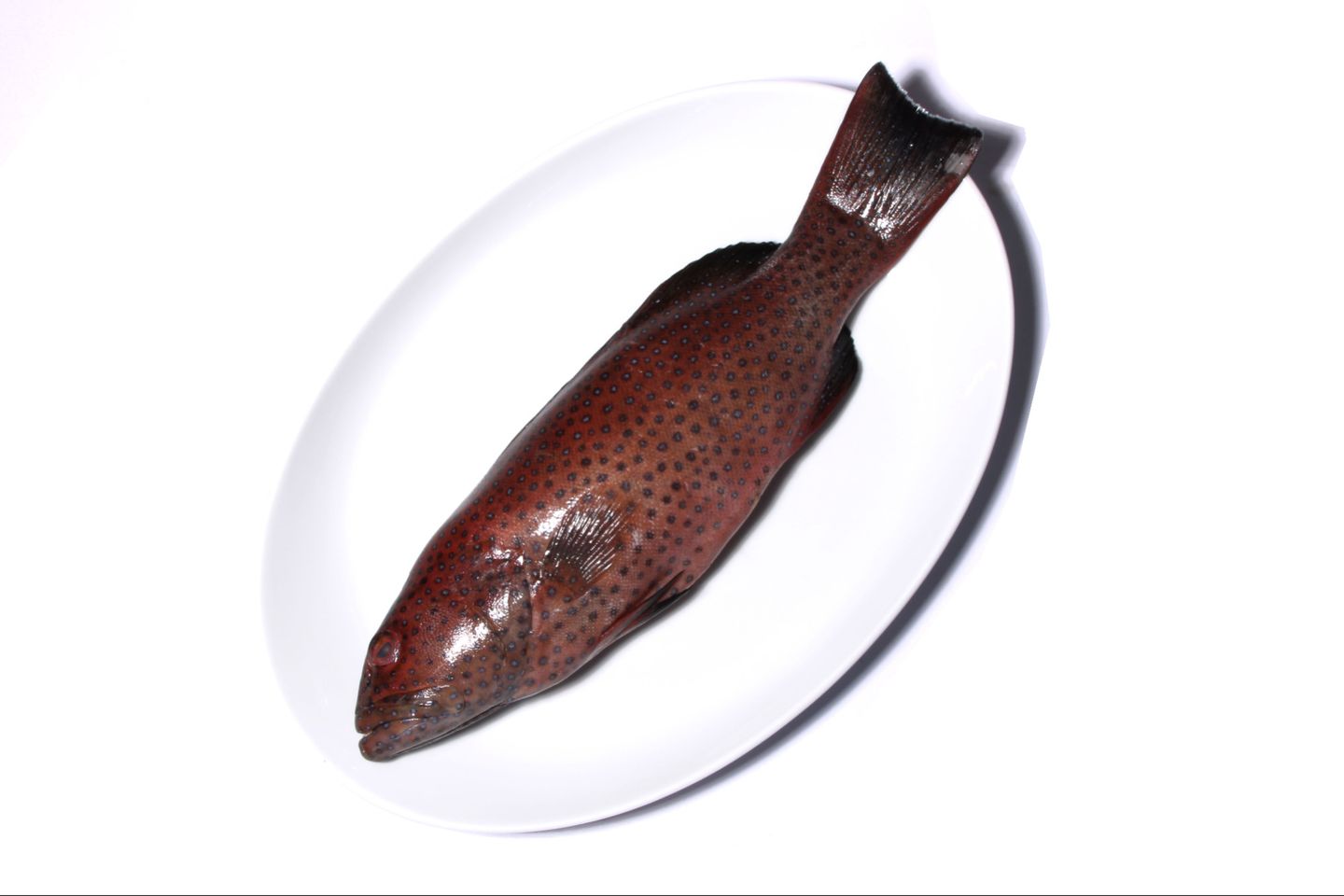 ناجل