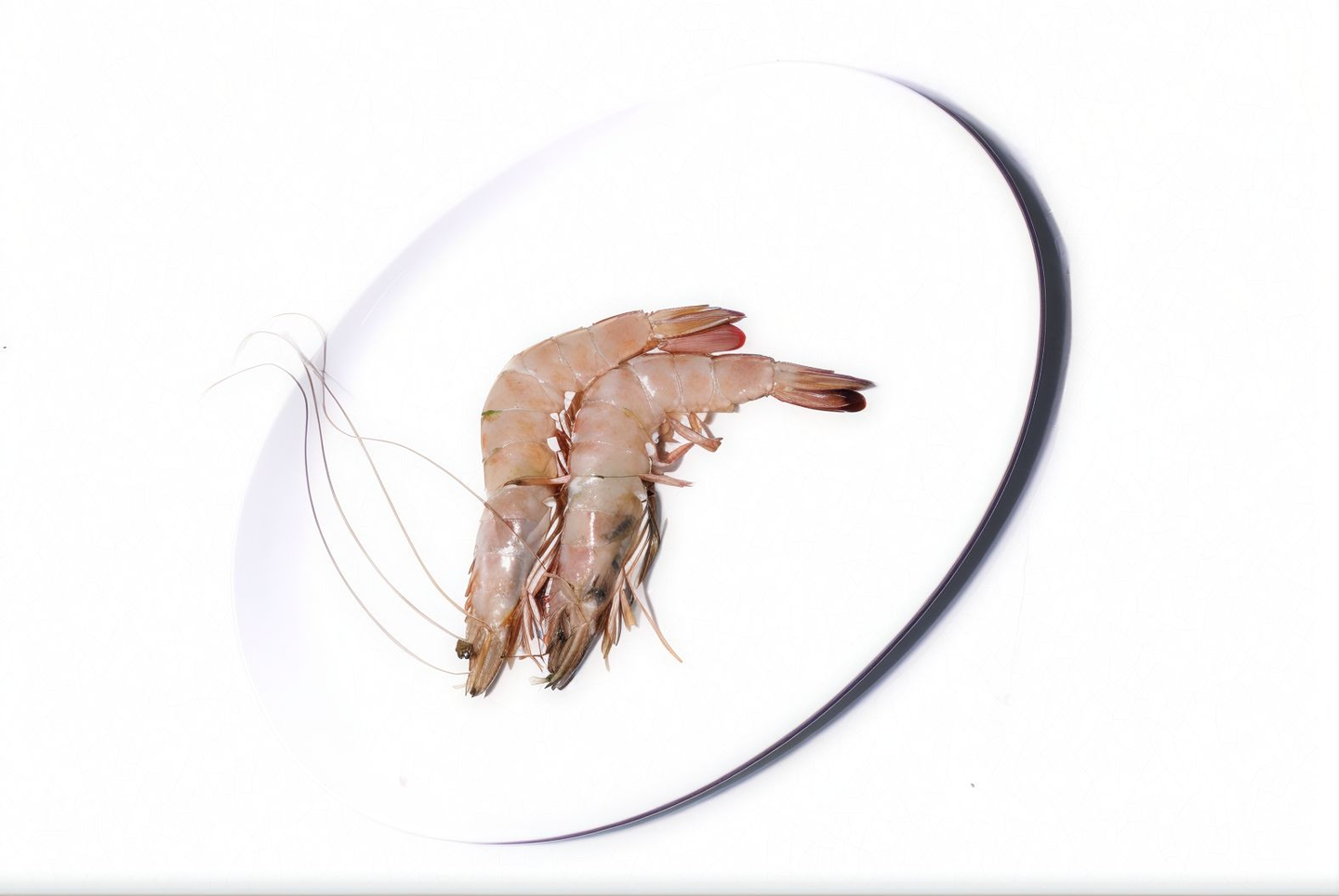 روبيان جامبو نصف كيلو