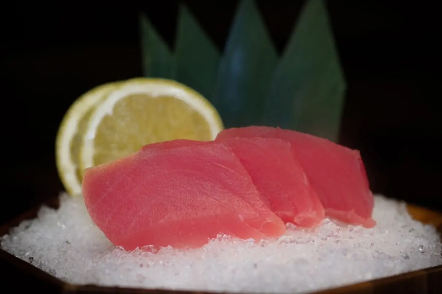 Sashimi Maguro