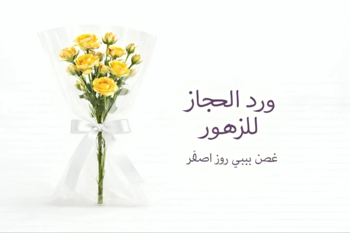 Rose   573