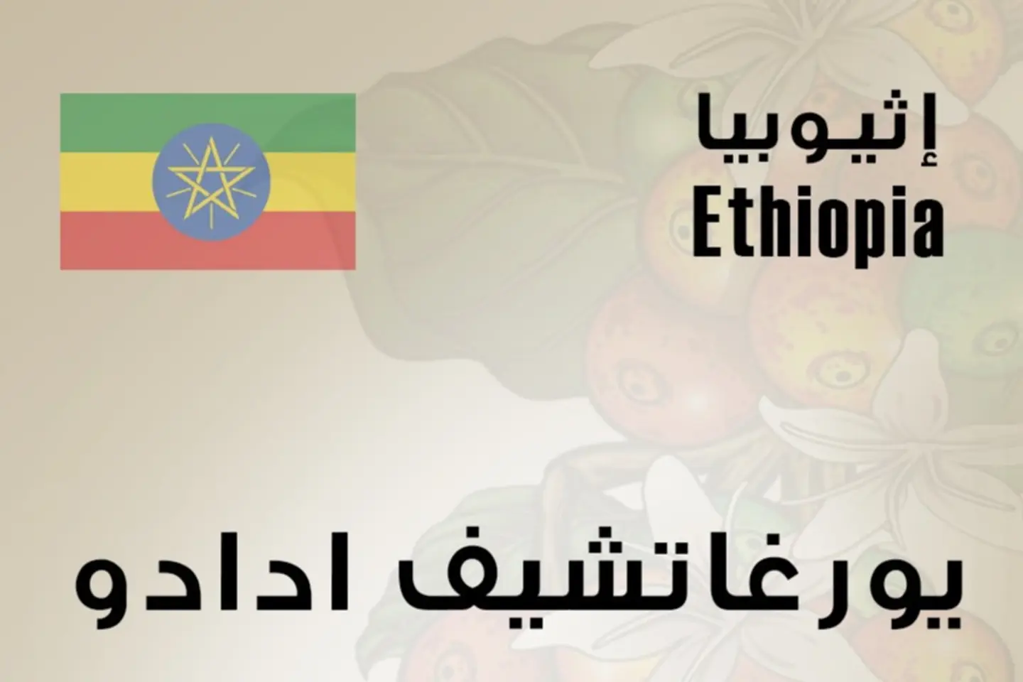 Ethiopia Adado
