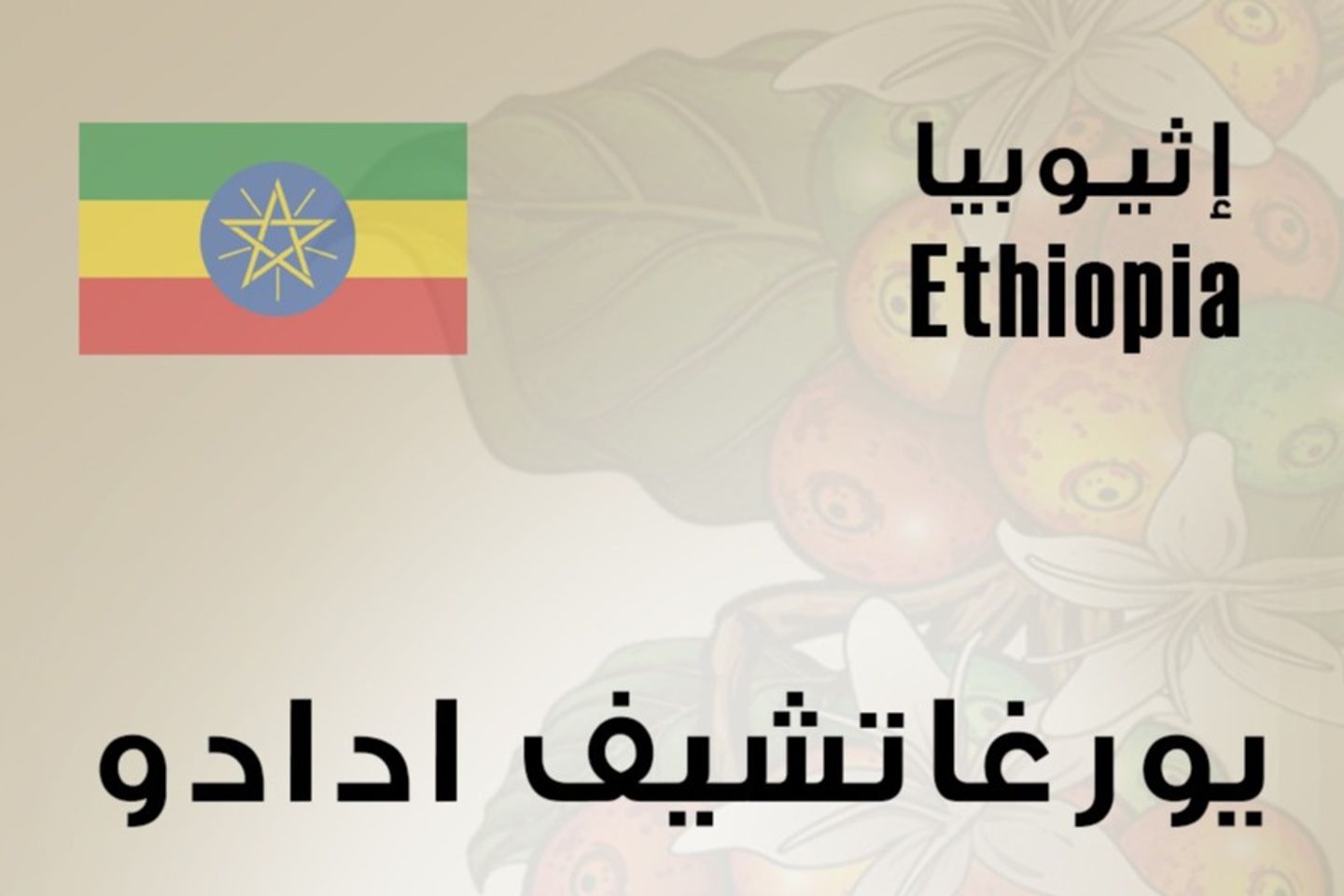 Ethiopia Adado