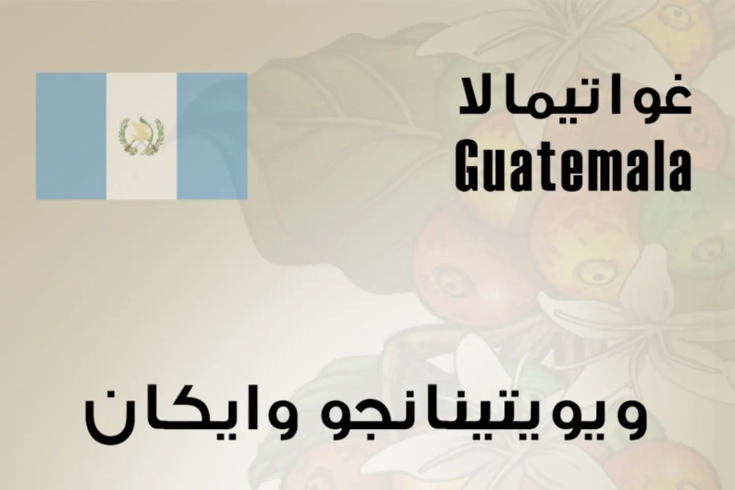 Guatemala Waykan