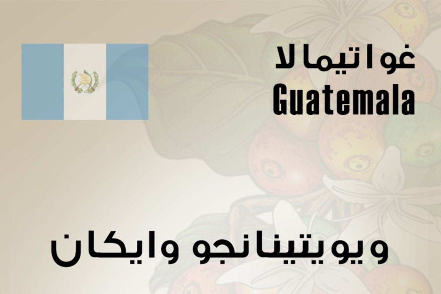 Guatemala Waykan