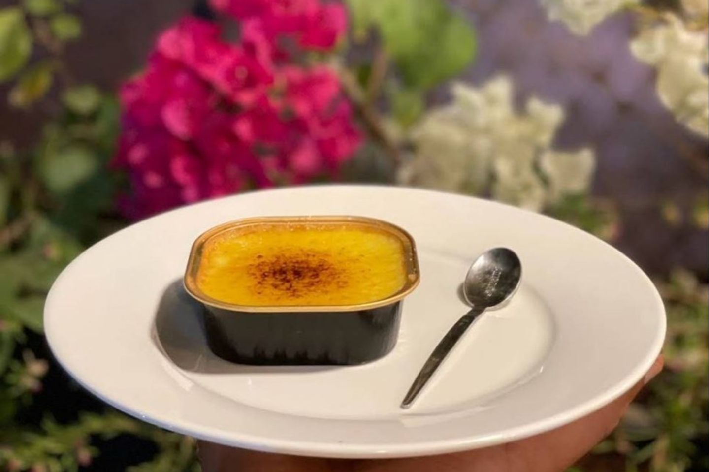 Creme Brulee