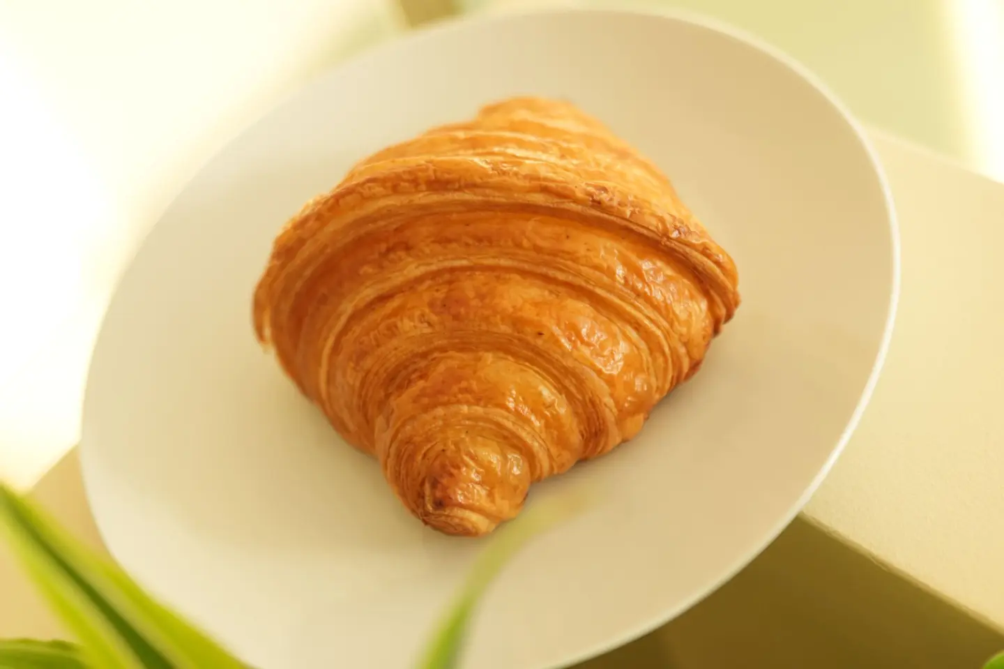 Croissant Plain