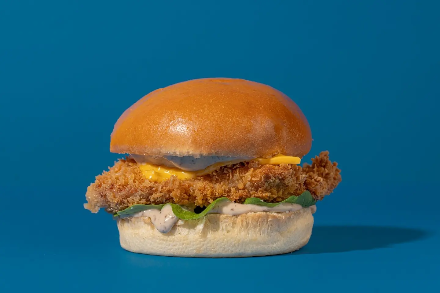 Truffle Chicken