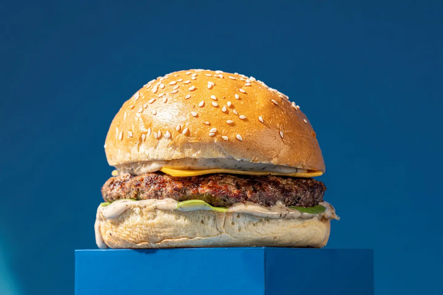 Truffle Burger