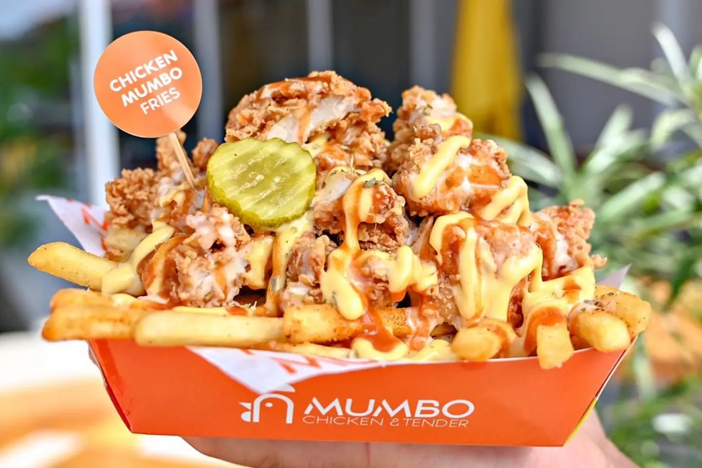 Mumbo Chicken Fries