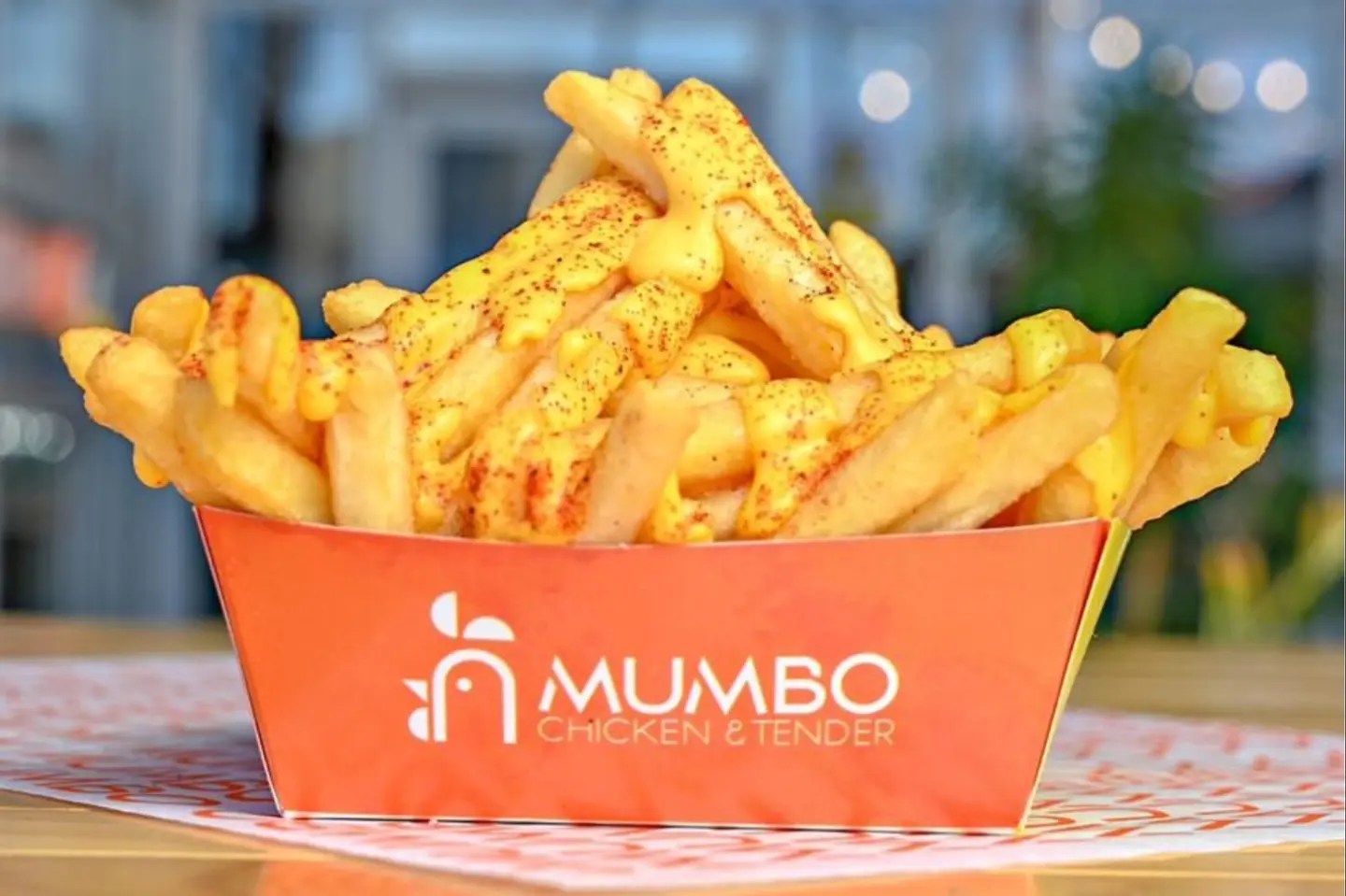 Cheese Fries