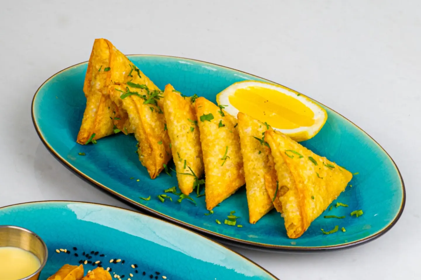 Chicken Samosa - Classic