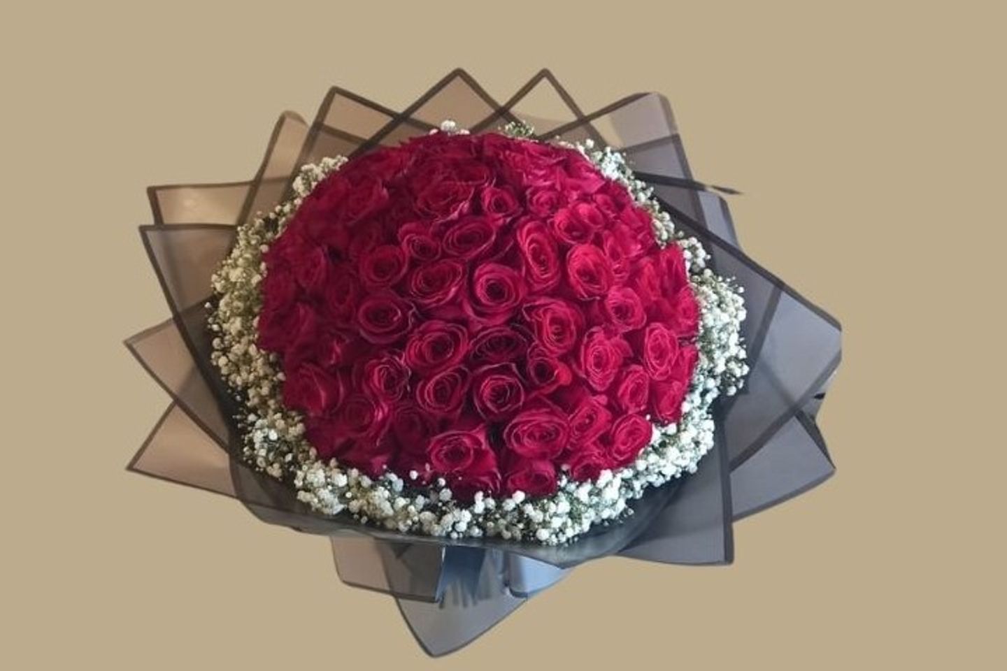 القرن باقة كبيرة الكثير