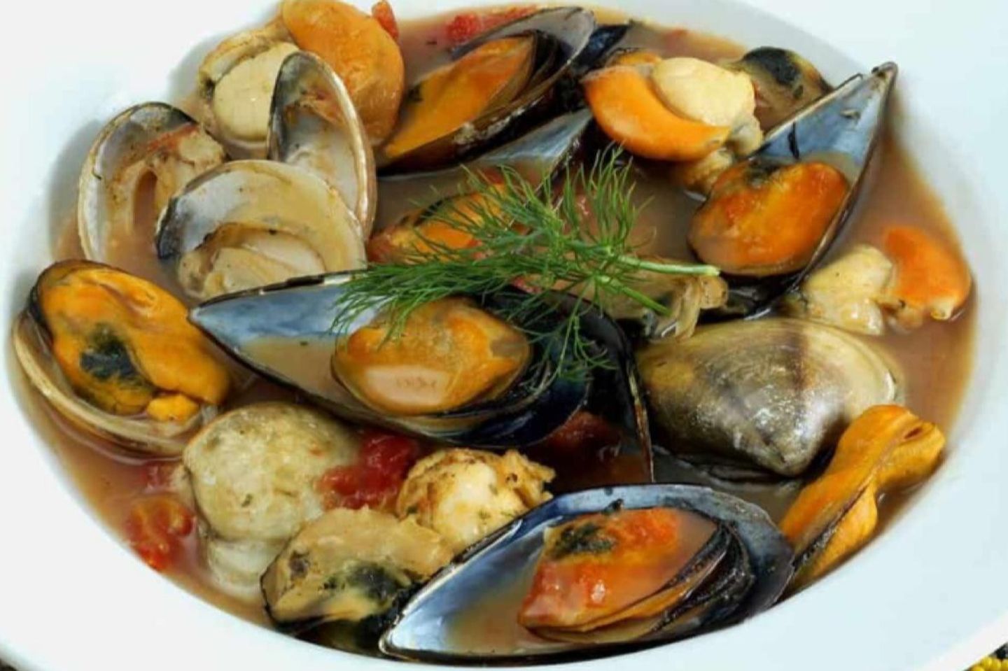 شوربة بلح البحر
