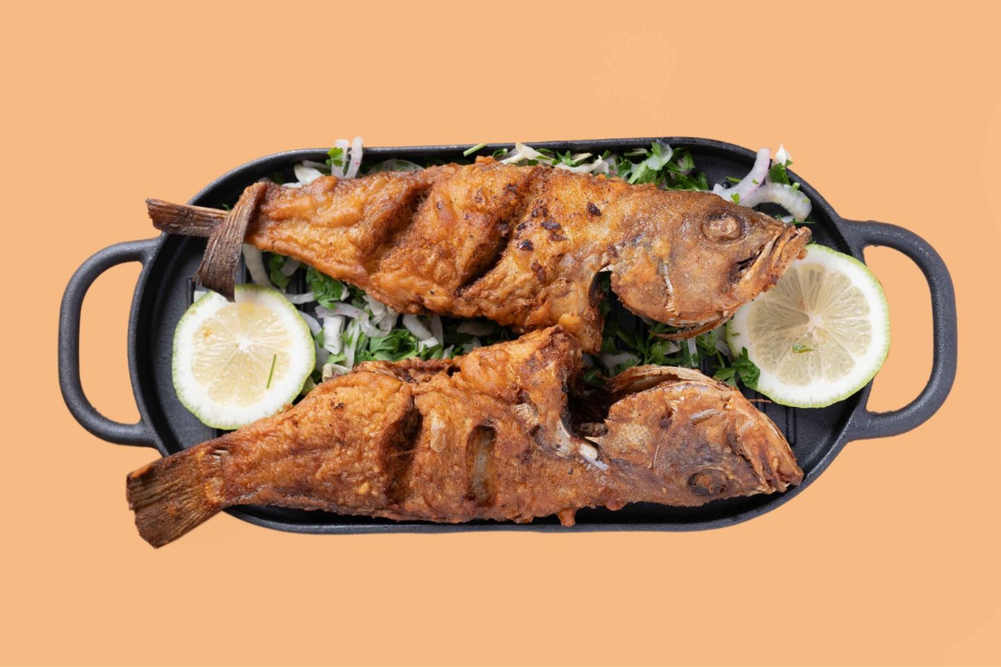 Hammour Fish With Bone