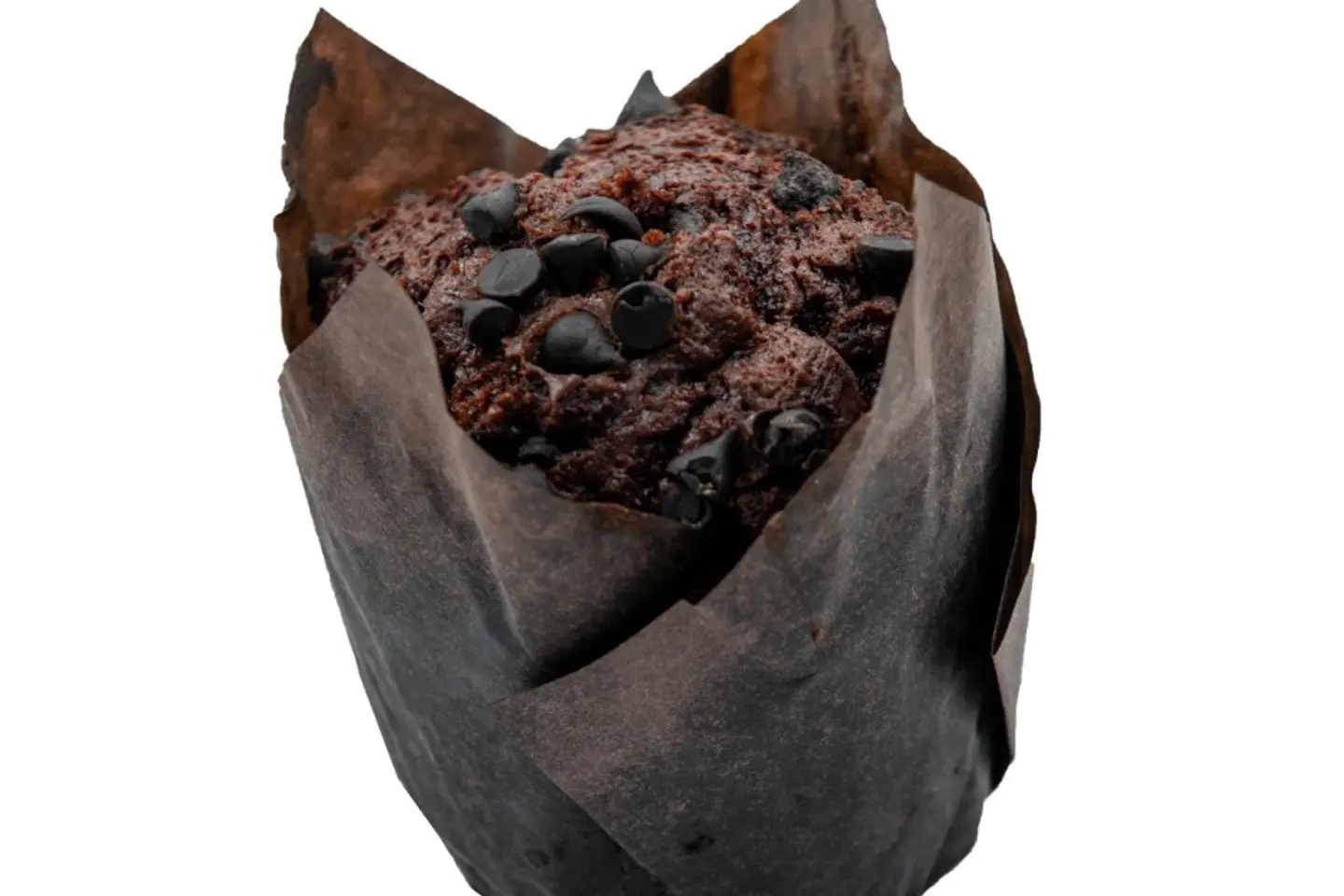 Chocolate Muffin