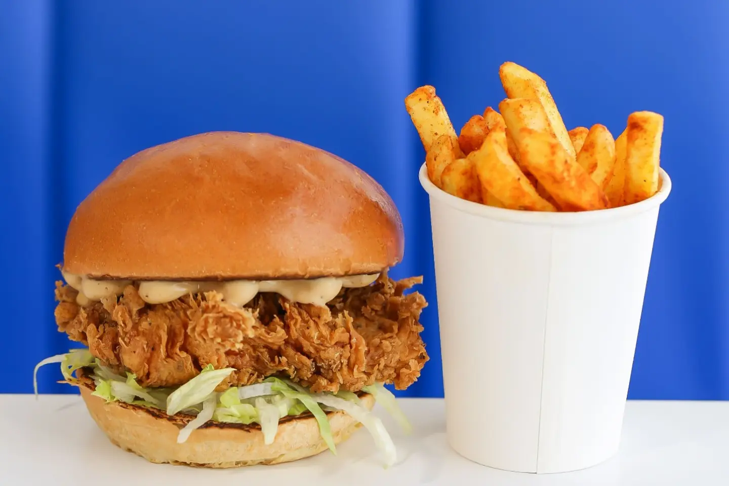 Crispy Chicken Burger + Fries
