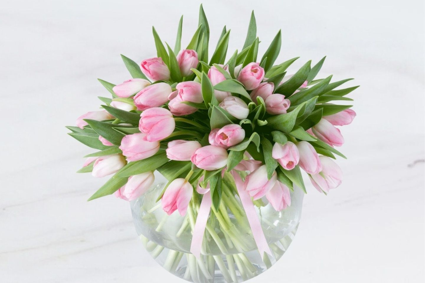 Simple Tulips