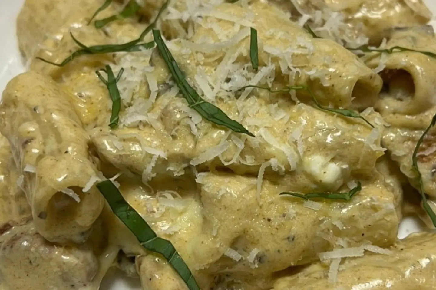 وايلد روزيتو