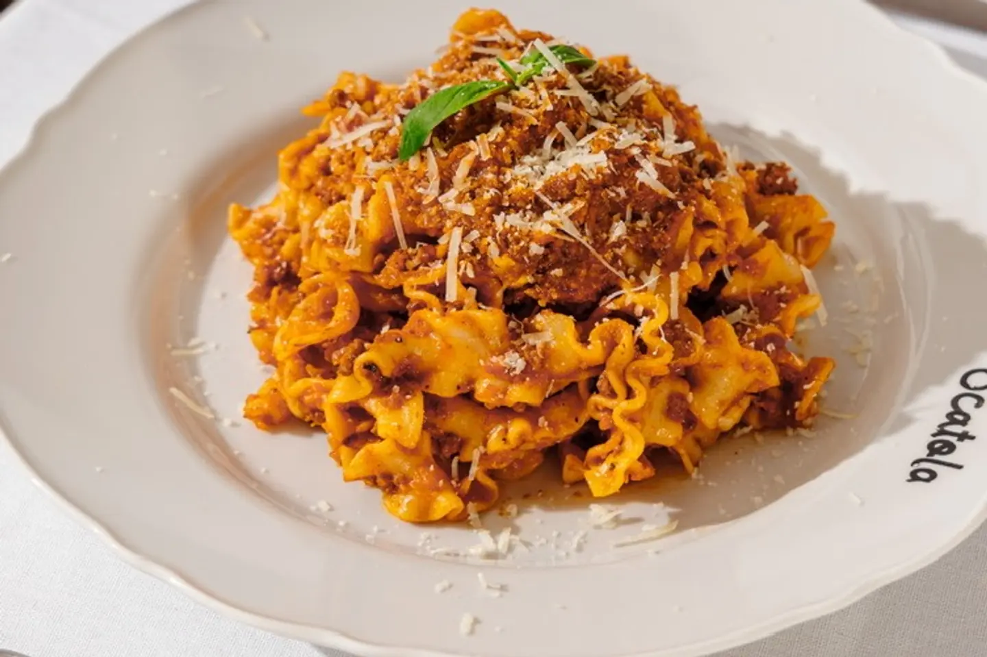 Bolognese