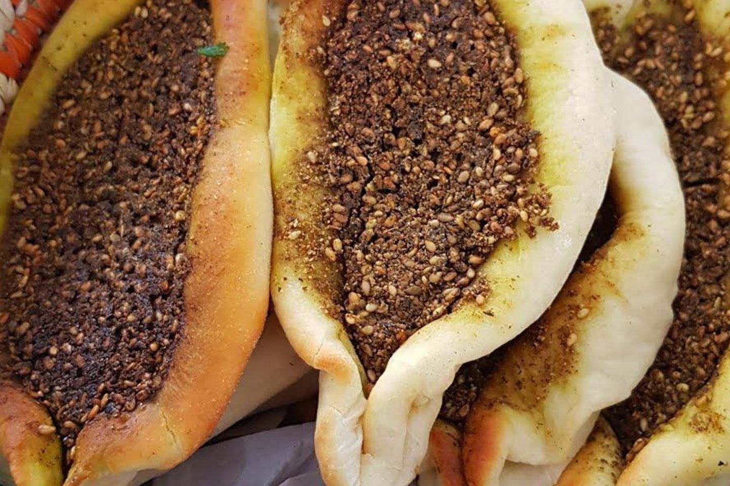 زعتر