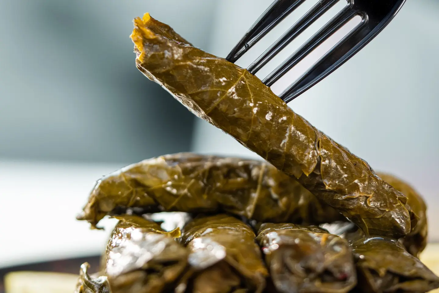 ورق عنب عمشيت