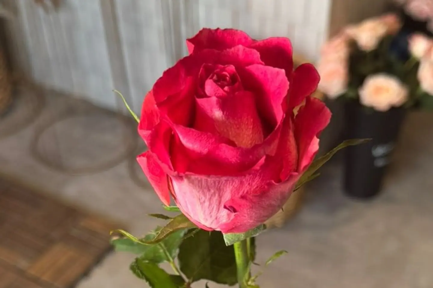 روز بينك ١