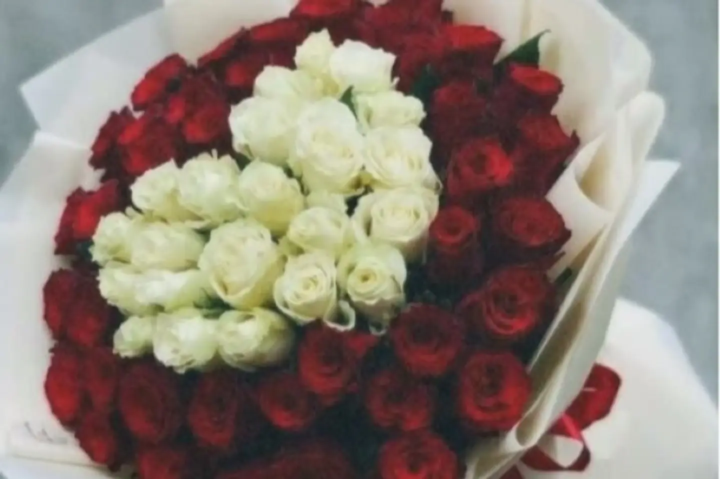 نقاء قلب الأحمر والأبيض ٦٠