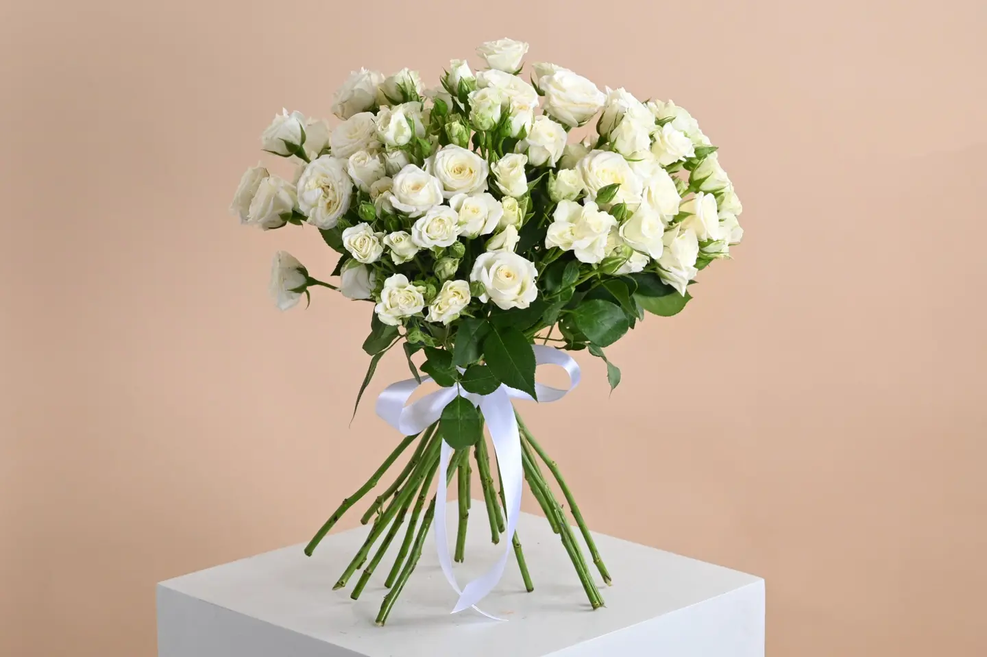 قطرات الندى