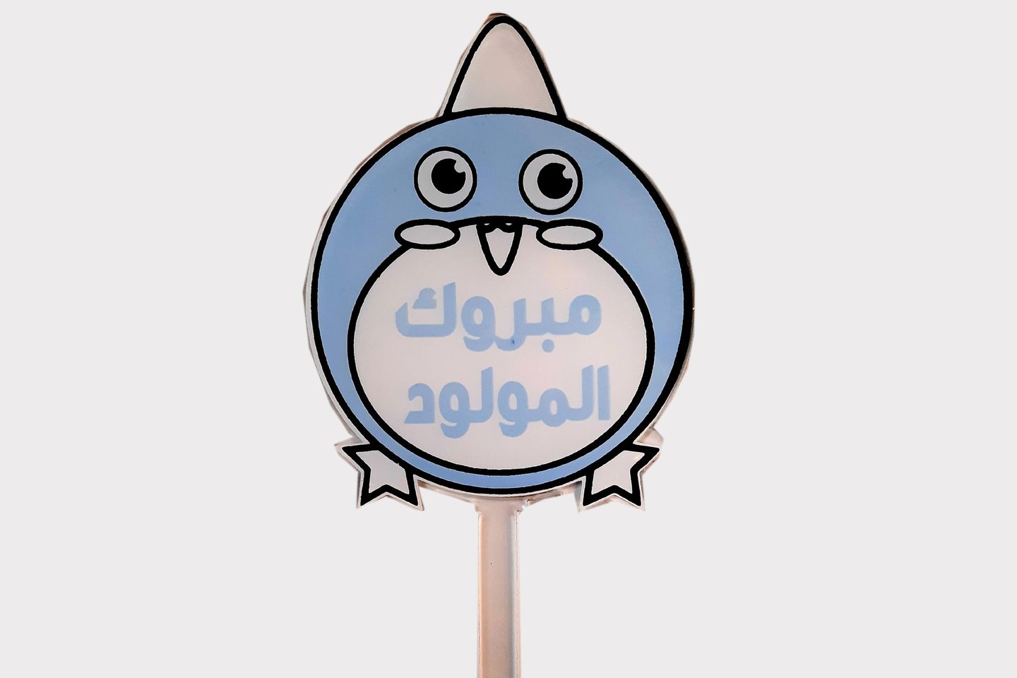 تغريسه بيبي بوي ١