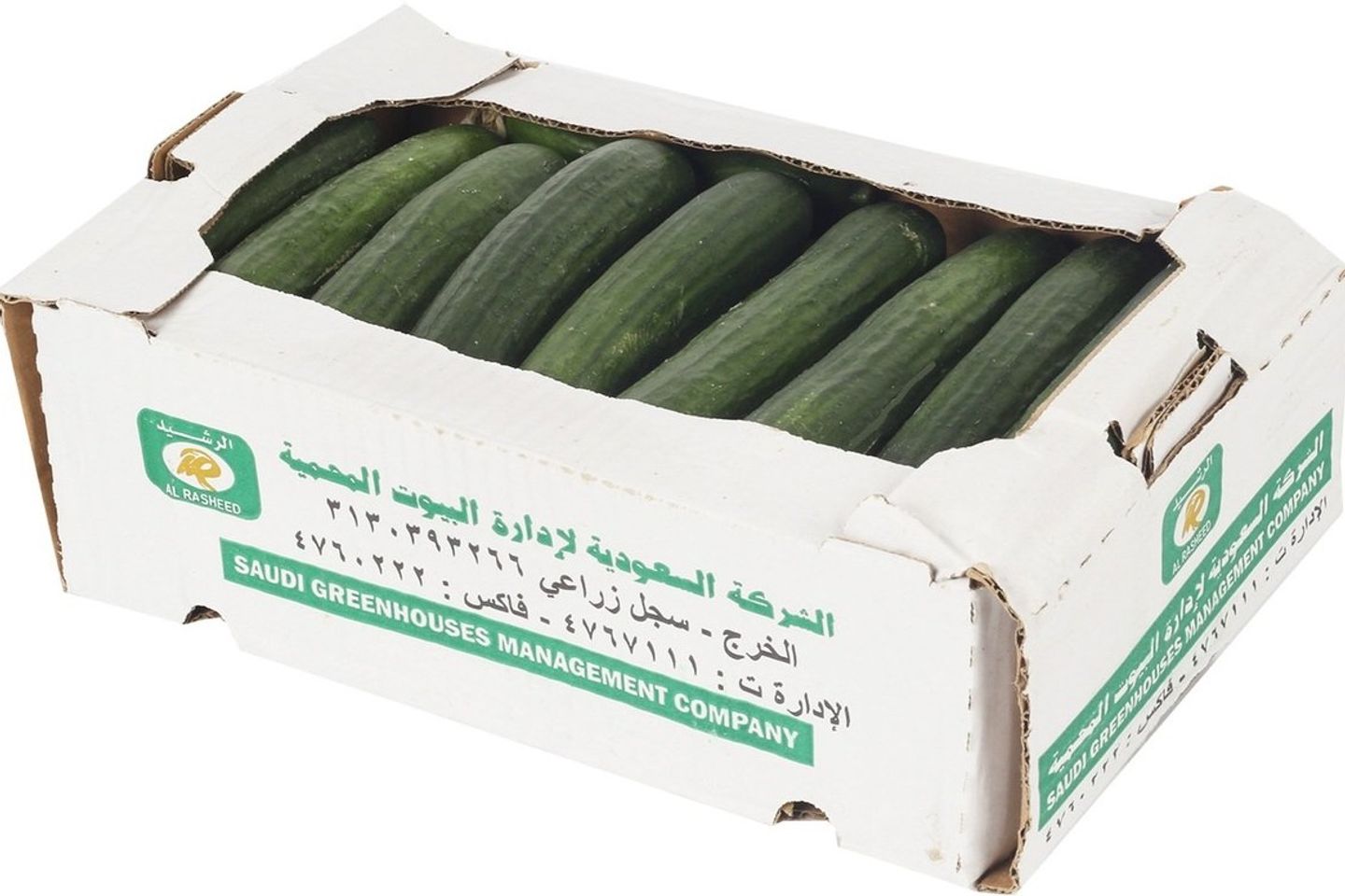 كرتون خيار