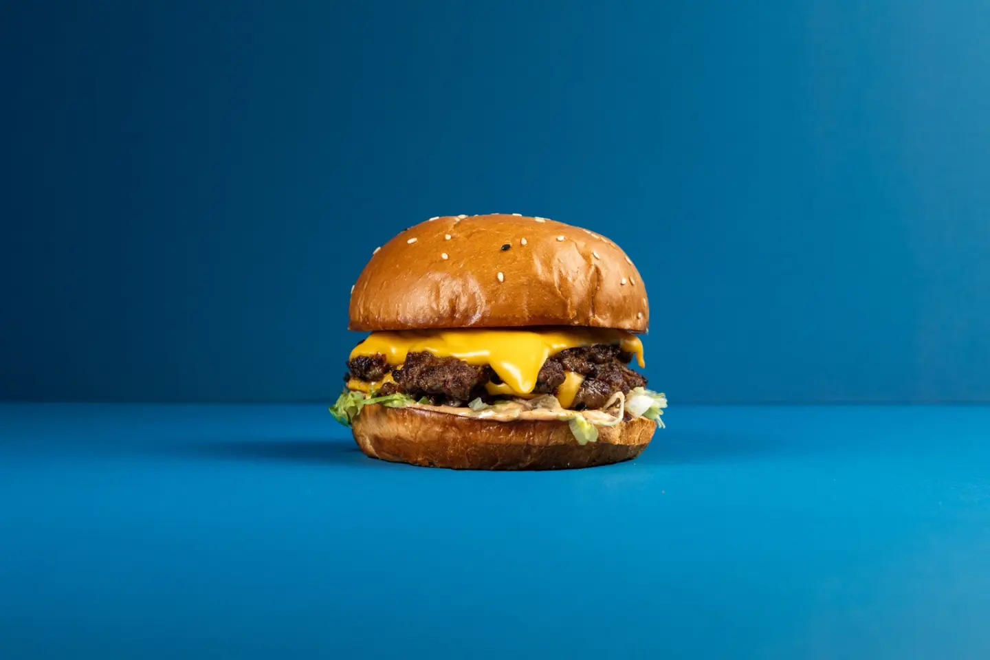 Fatty Burger Single