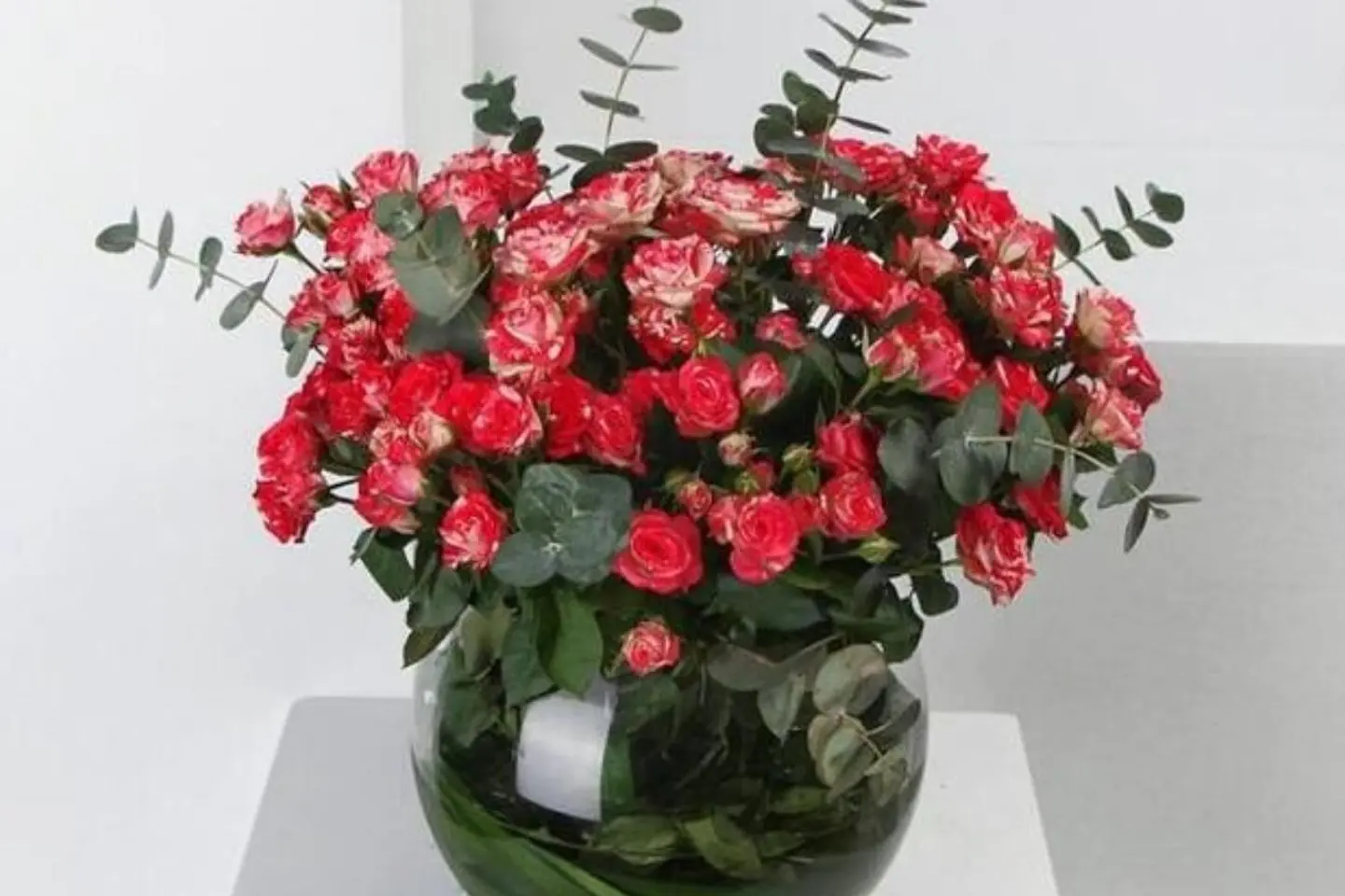 فازة لاريس