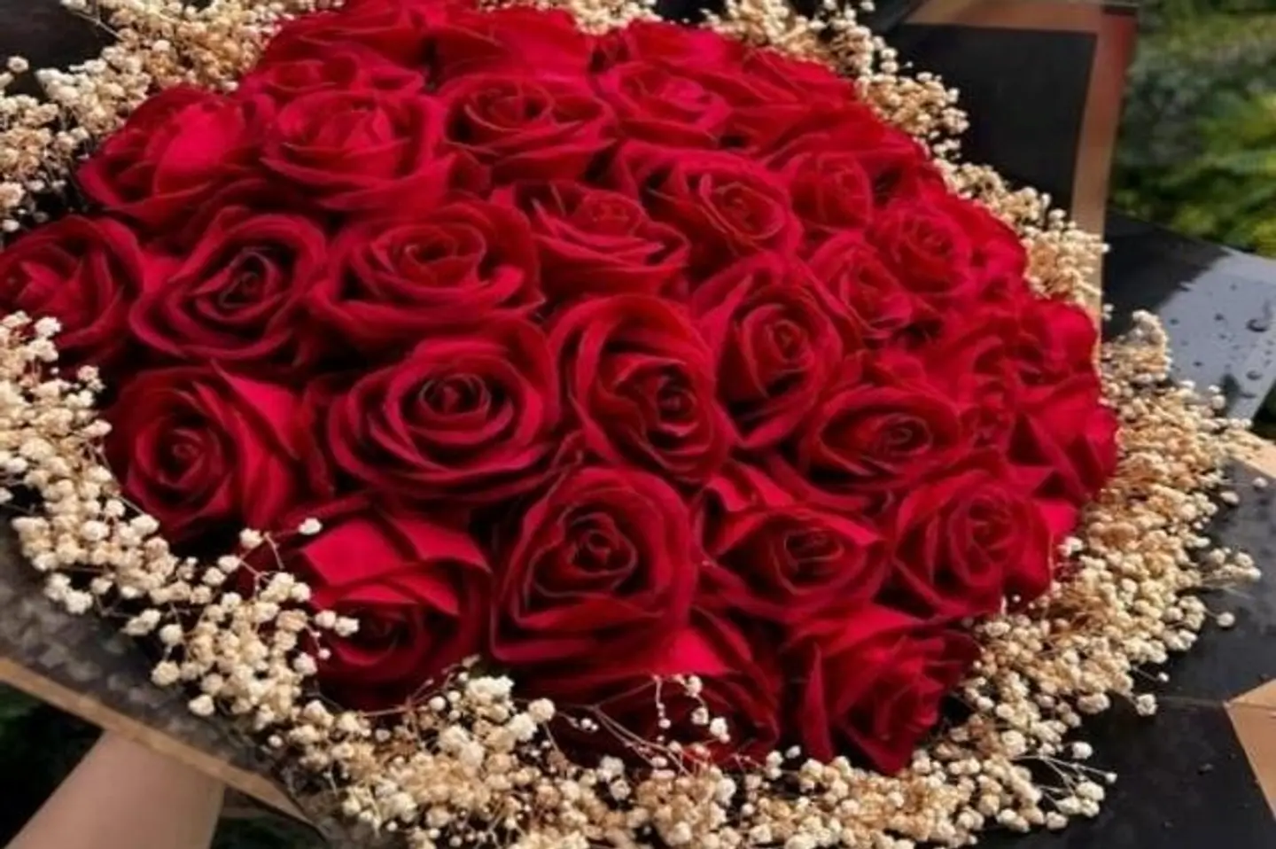 وردة منتصف الليل ٣٠