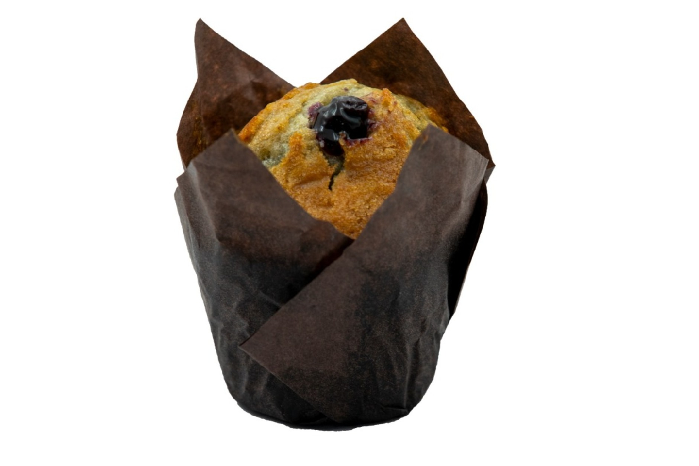 Blueberry Muffin