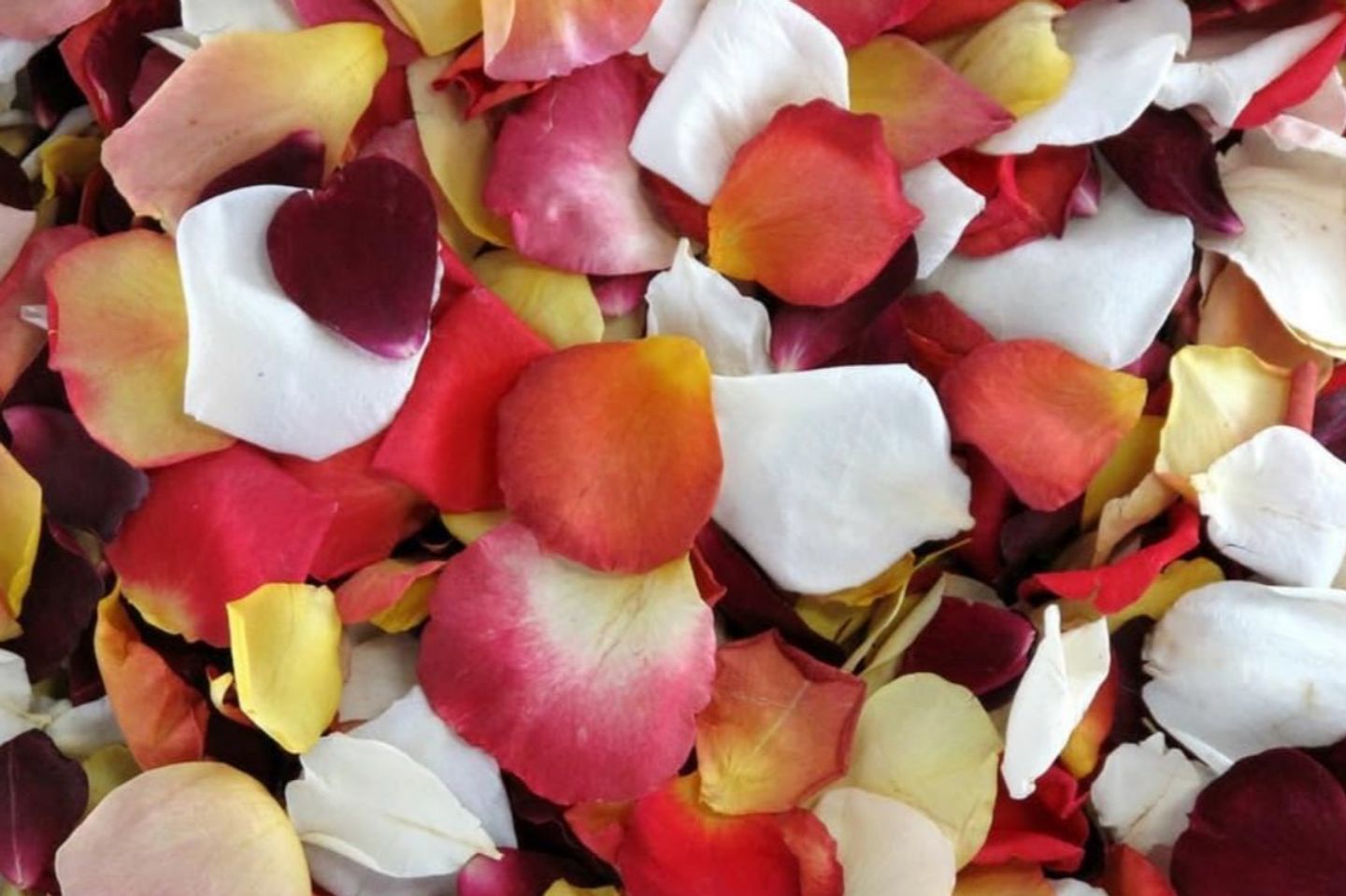 Rose Petals Mixed Big