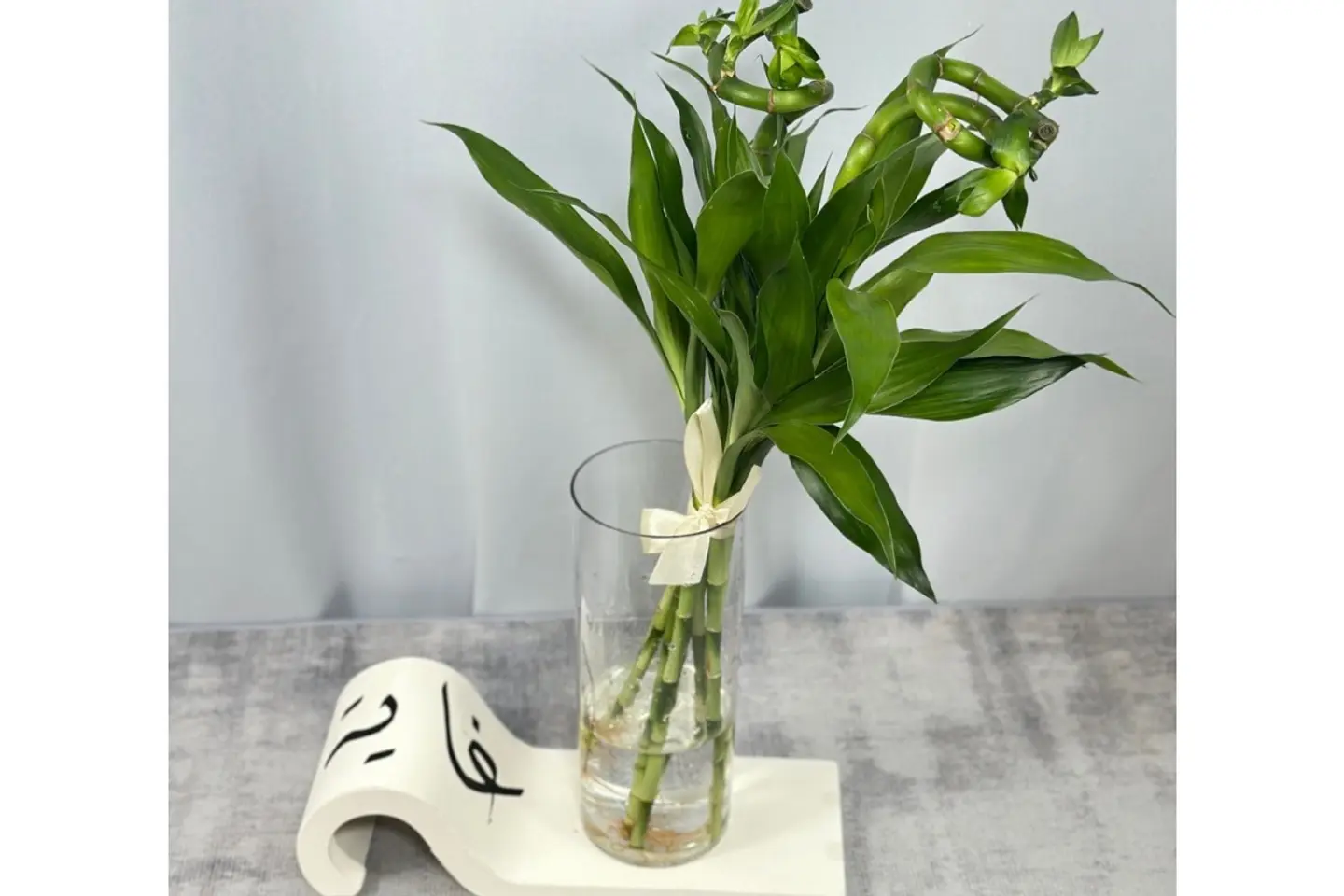 قاعدة البامبو