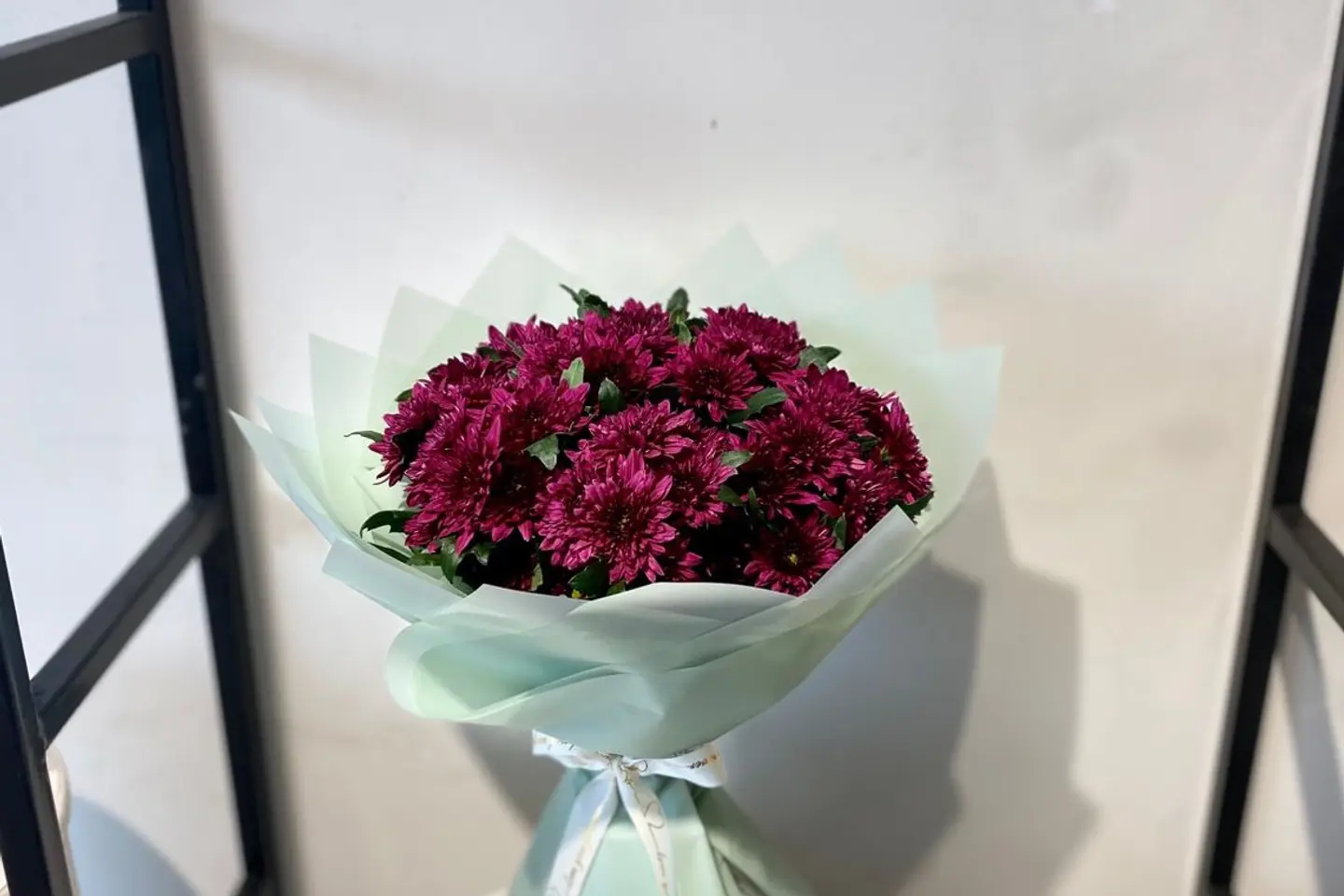 اقة كريز احمر ١٠٠ مميزة