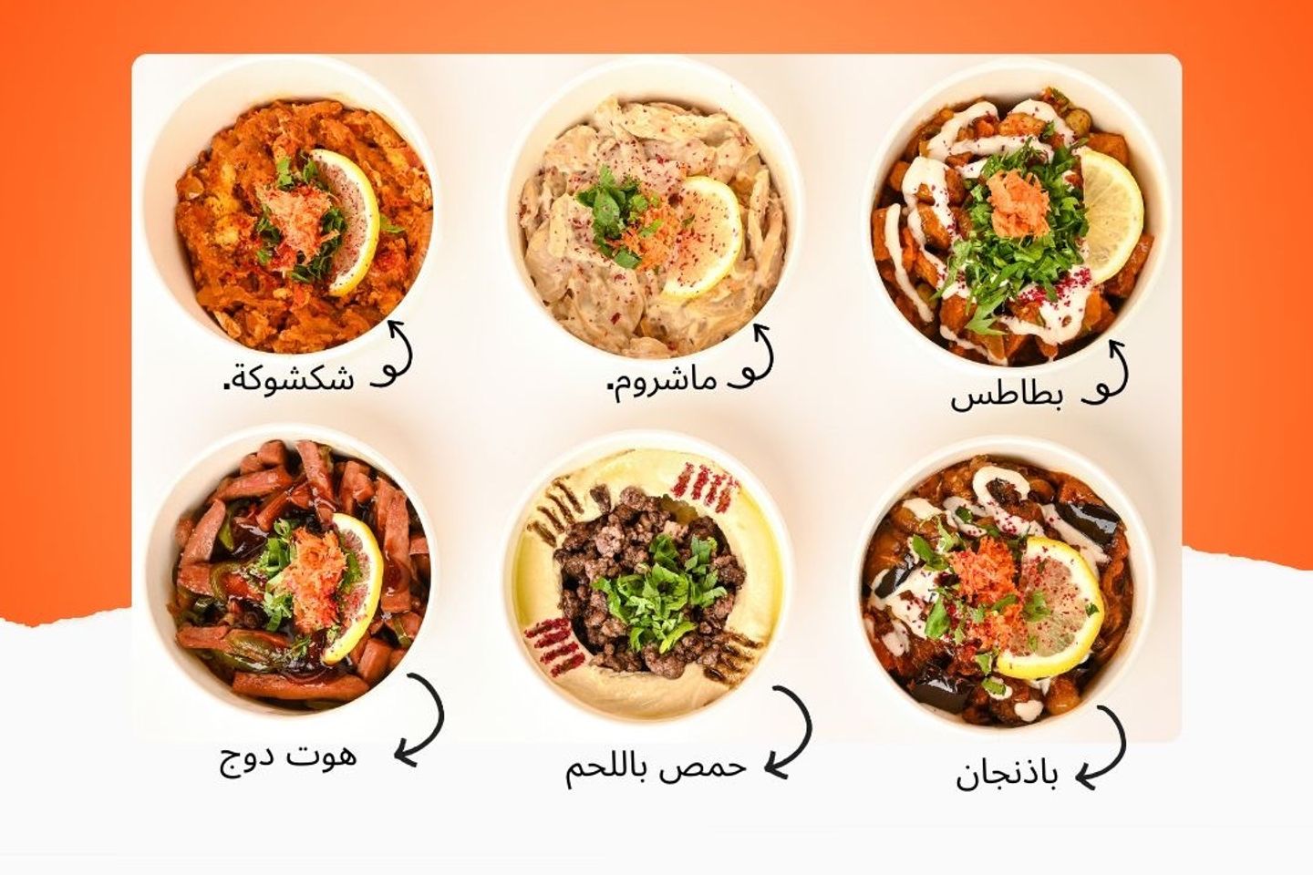 بوكس الصباح