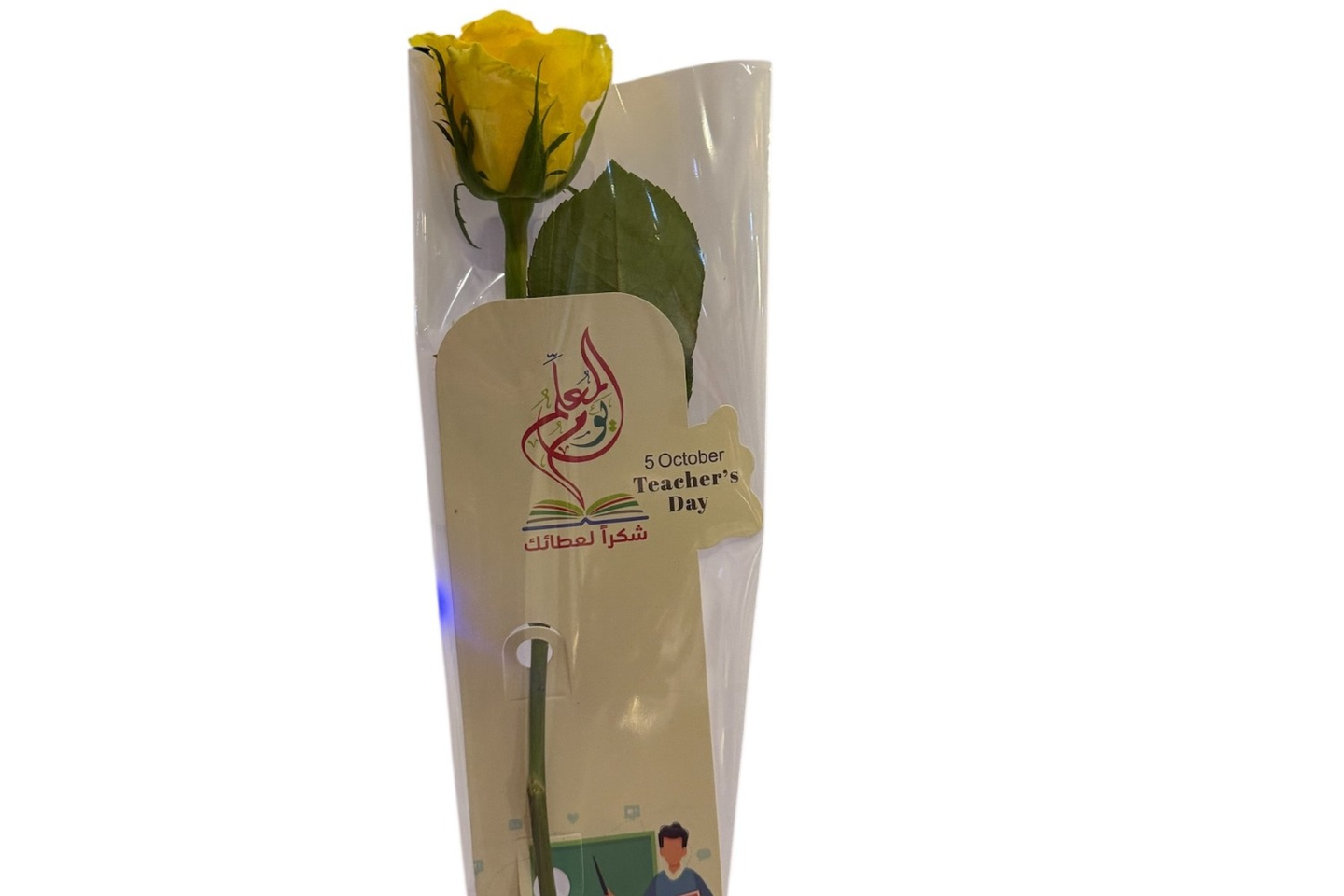 يوم المعلم ----