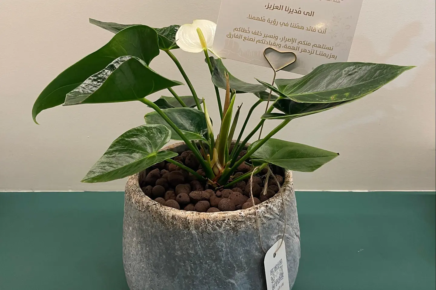 أنت قائد همّتنا في رؤية مُلهمنا ٢