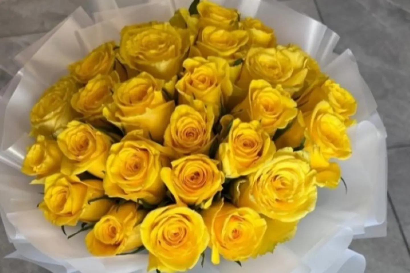 إشراقة ذهبية ٢٥