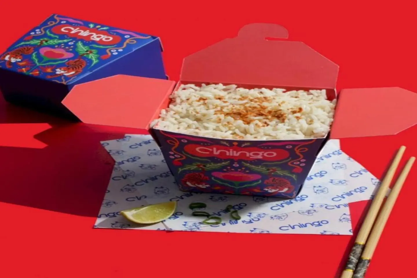 Garlic Rice